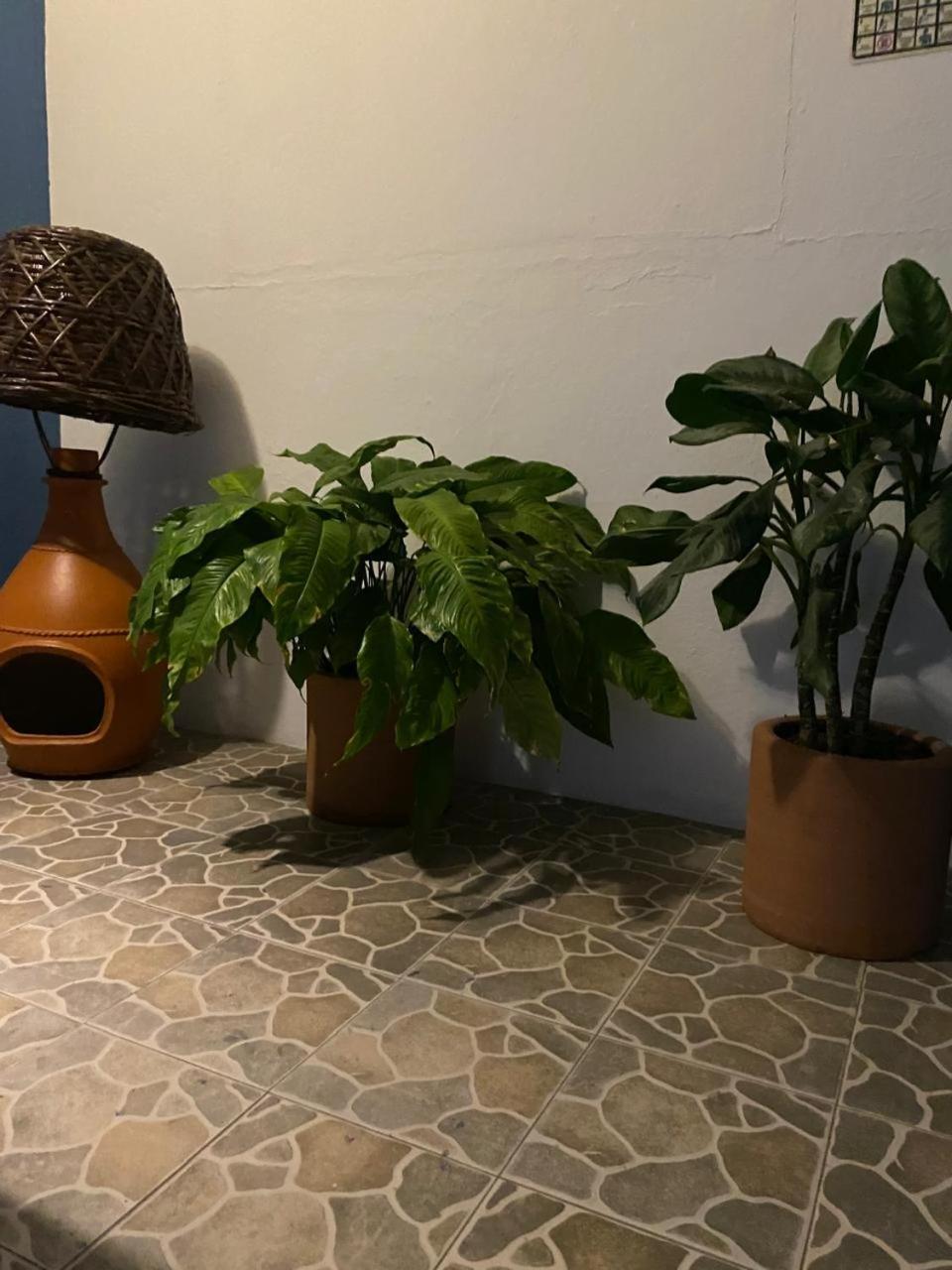 Hotel Casa Juanita Puerto Escondido  Dış mekan fotoğraf